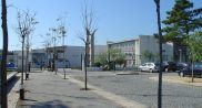 Escola Secundária Henrique Medina