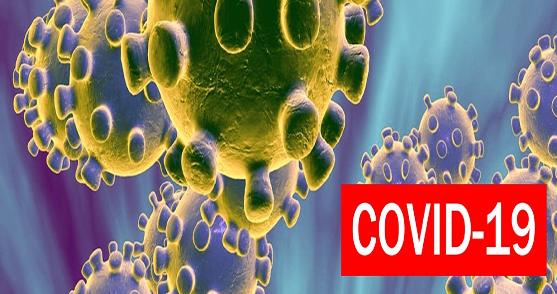 coronavirus_v3