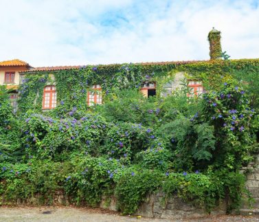 casa mB