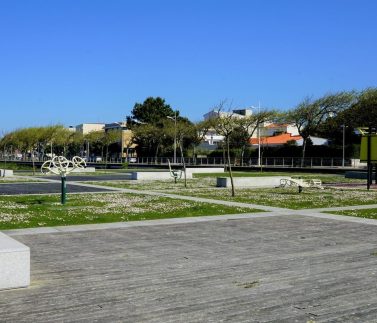 _DSC4494.JPG 2021-03-05 190002