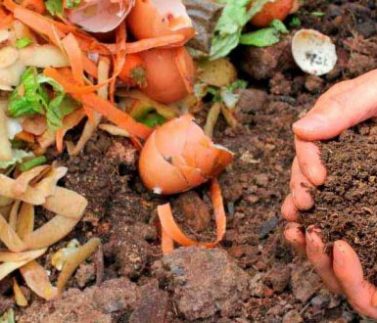 compostagem