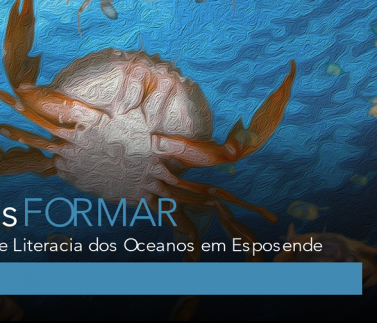 TransFormar