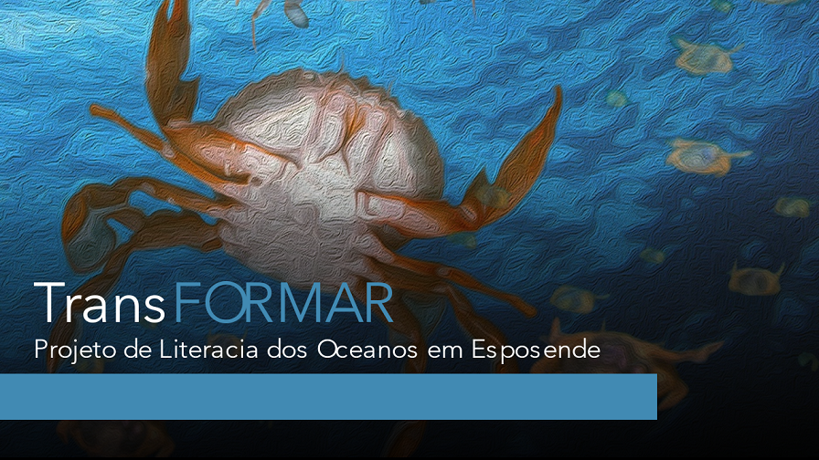 TransFormar