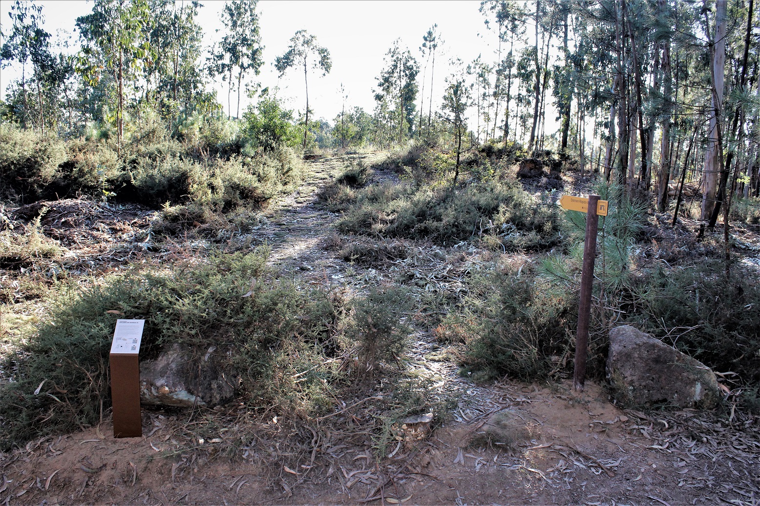 circuito megalítico 2