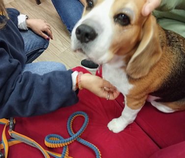 IMG_20251124_102914 IMG_20251124_102914